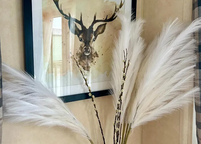 28 The Beeches 度假居 *